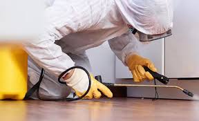 Best Pest Prevention Services  in Bicknell, IN